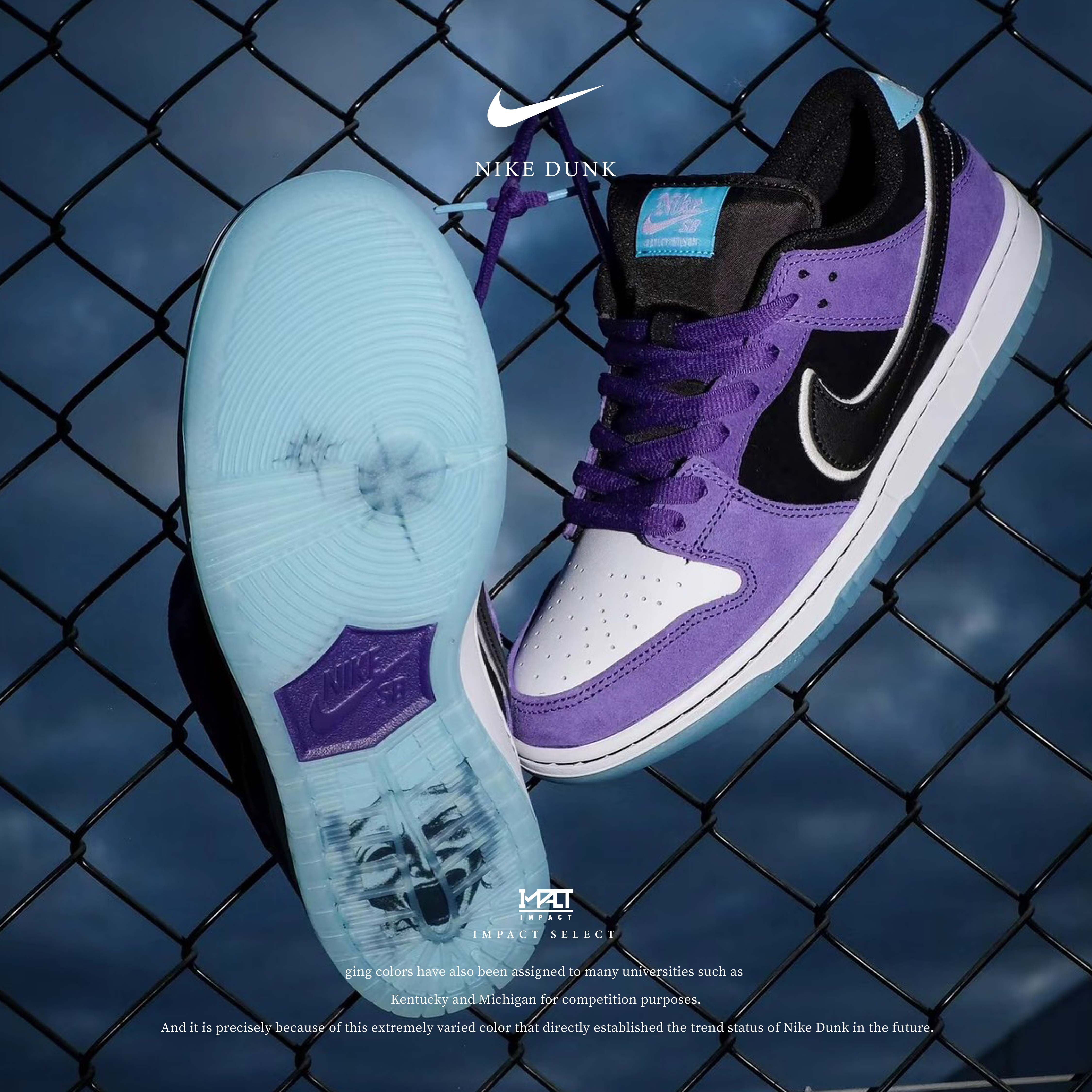 Nike SB Dunk Pro x Hayley Wilson 聯名款 紫黑 刺青 男款 HJ0513-500