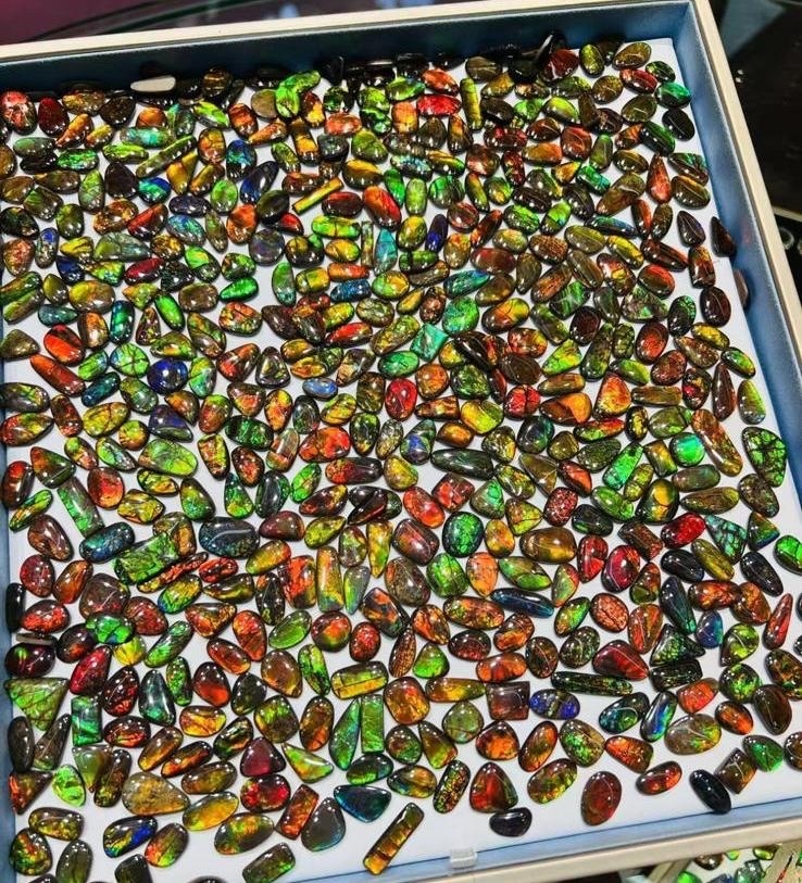 【水晶特價直播】運轉斑彩石 (H081)