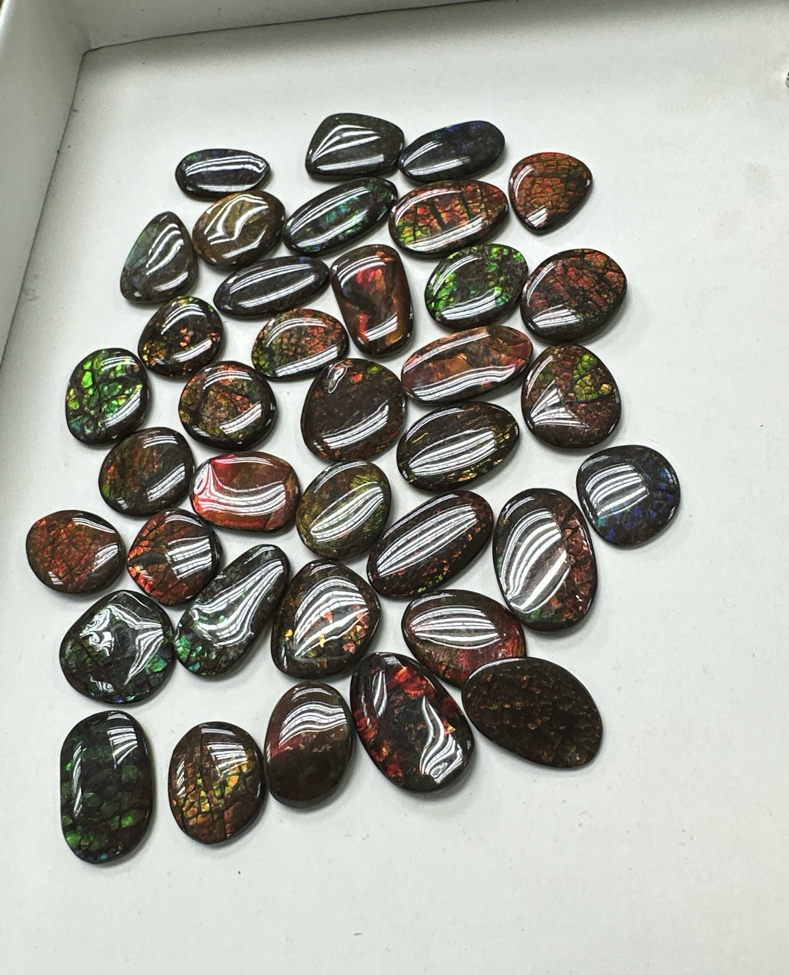 【水晶特價直播】運轉斑彩石 (H081)