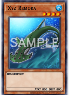 CR05-AE077 Xyz Remora (N)