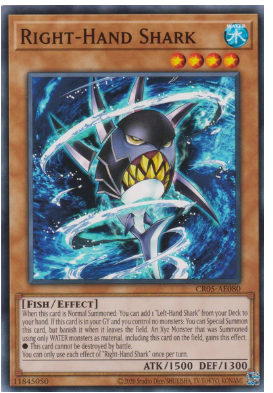CR05-AE080 Right-Hand Shark (N)