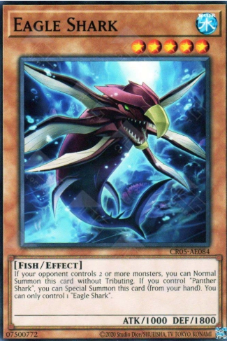 CR05-AE084 Eagle Shark (N)