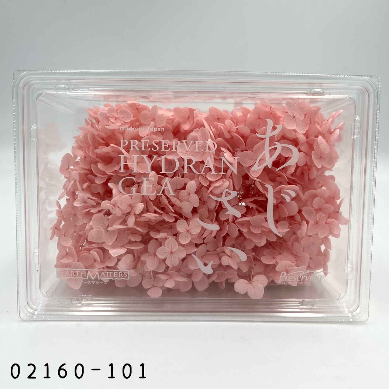 日本不凋安娜繡球 02160-101