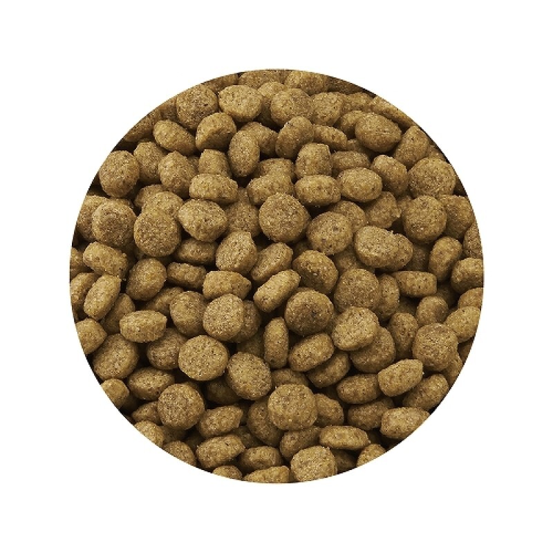 Marukan 14種野菜倉鼠糧 - 280g