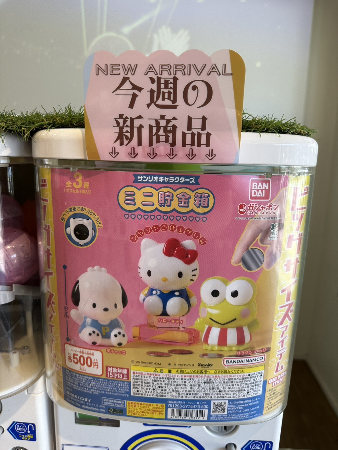 現貨┃日本 三麗鷗 KITTY 帕恰狗 大眼蛙 扭蛋 存錢筒