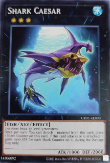CR05-AE090 Shark Caesar (N)