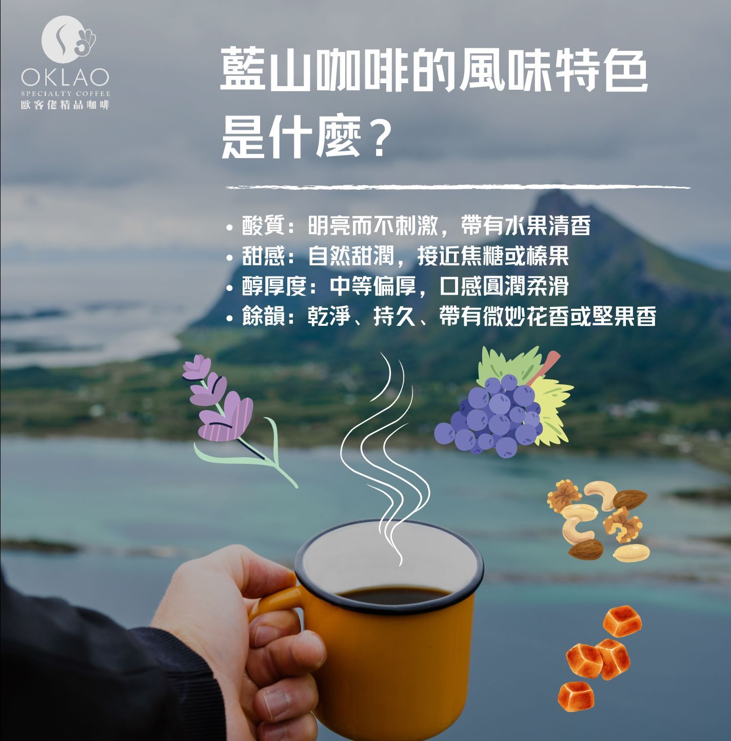 藍山咖啡 藍山在哪裡 為什麼藍山咖啡這麼貴 藍山咖啡什麼味道 藍山咖啡產地在哪裡 藍山咖啡的藍山在哪裡 藍山咖啡價格 藍山風味咖啡 咖啡產地 精品咖啡