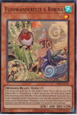 CR05-AE151 Floowandereeze & Robina