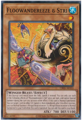CR05-AE153 Floowandereeze & Stri (N)