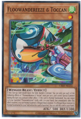 CR05-AE154 Floowandereeze & Toccan (N)