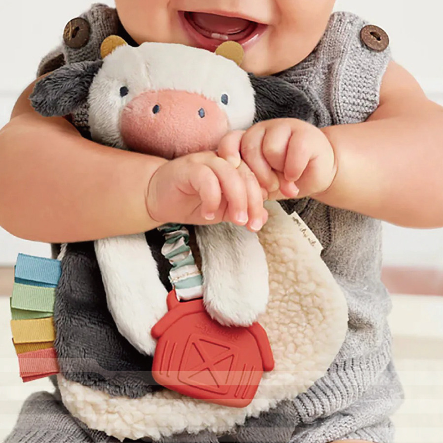 美國Itzy Ritzy 咬咬安撫巾