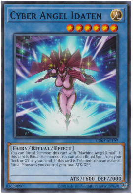 CR05-AE192 Cyber Angel Idaten (N)