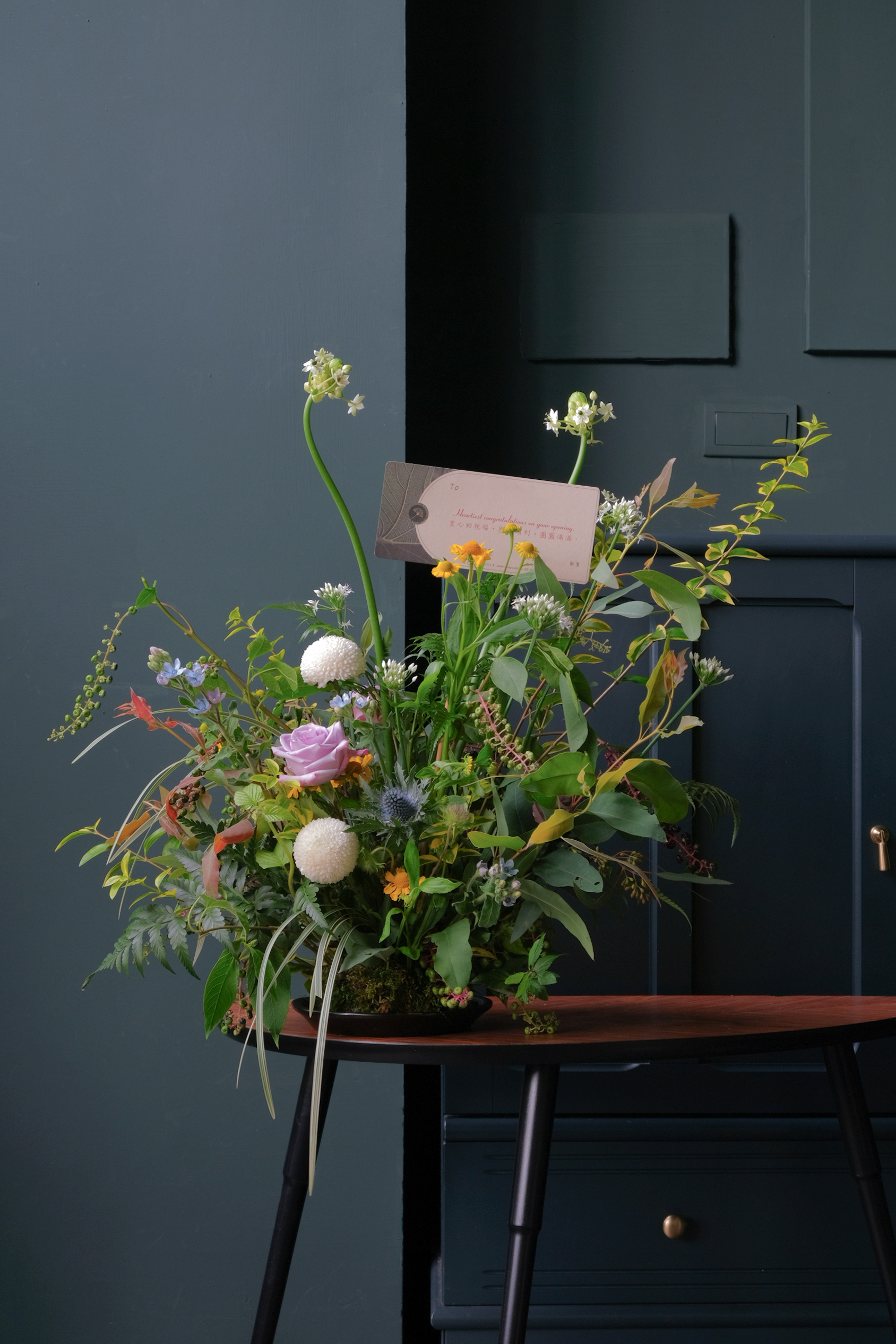 地球上有誰？｜鮮花 盆花