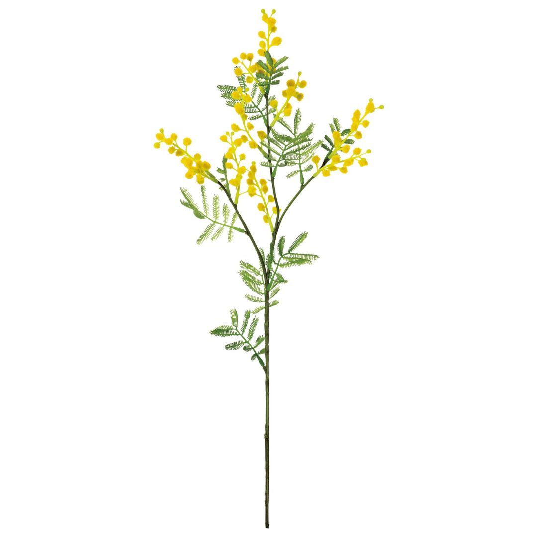 人造花 含羞草/金合歡 長枝