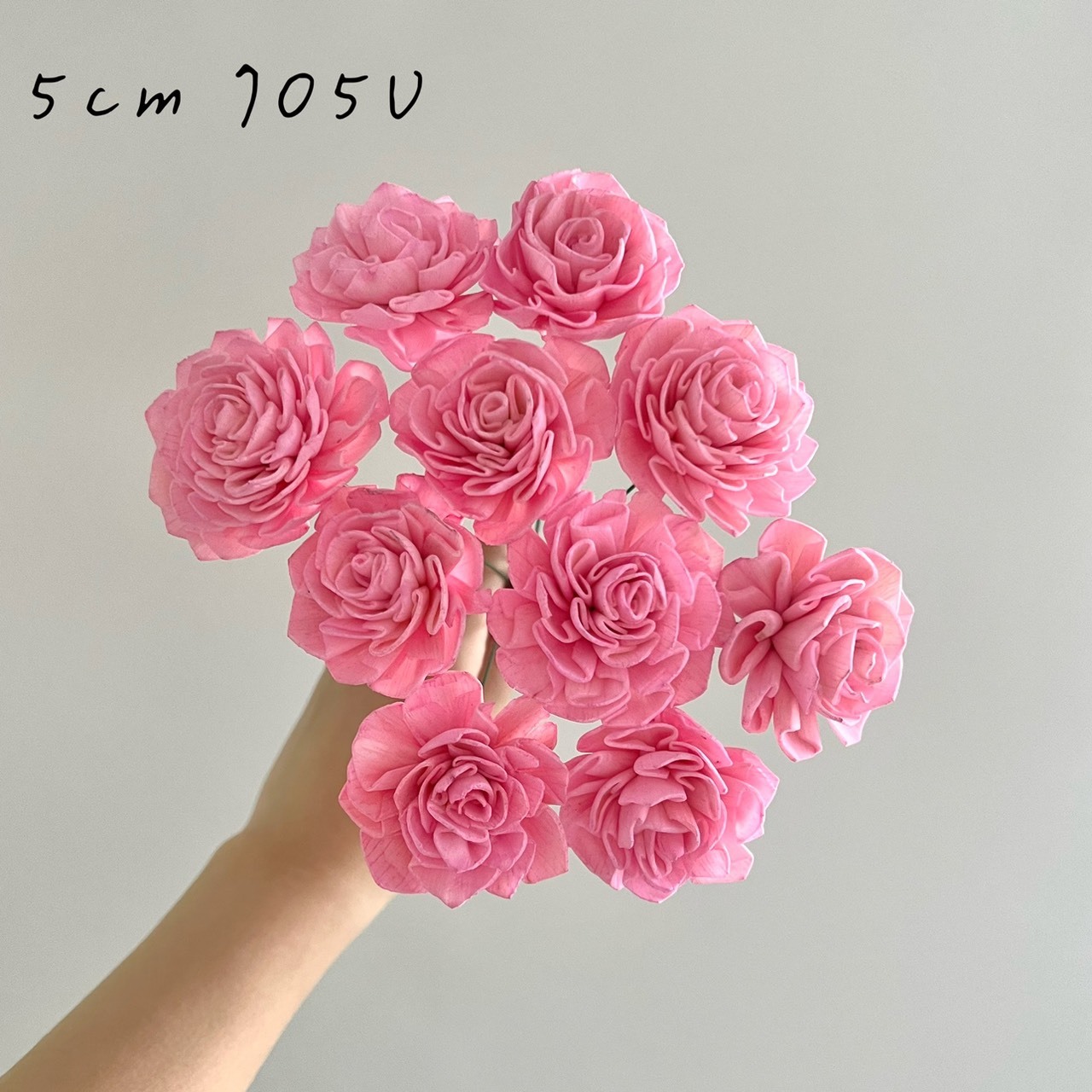 越南索拉花 水染大理花系列 4.5-5CM