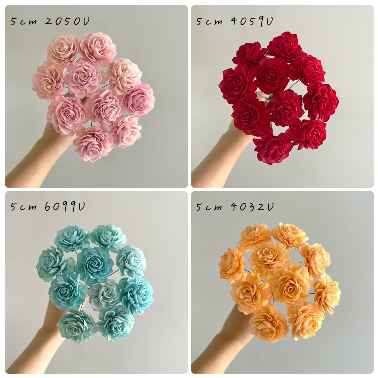 越南索拉花 水染大理花系列 4.5-5CM