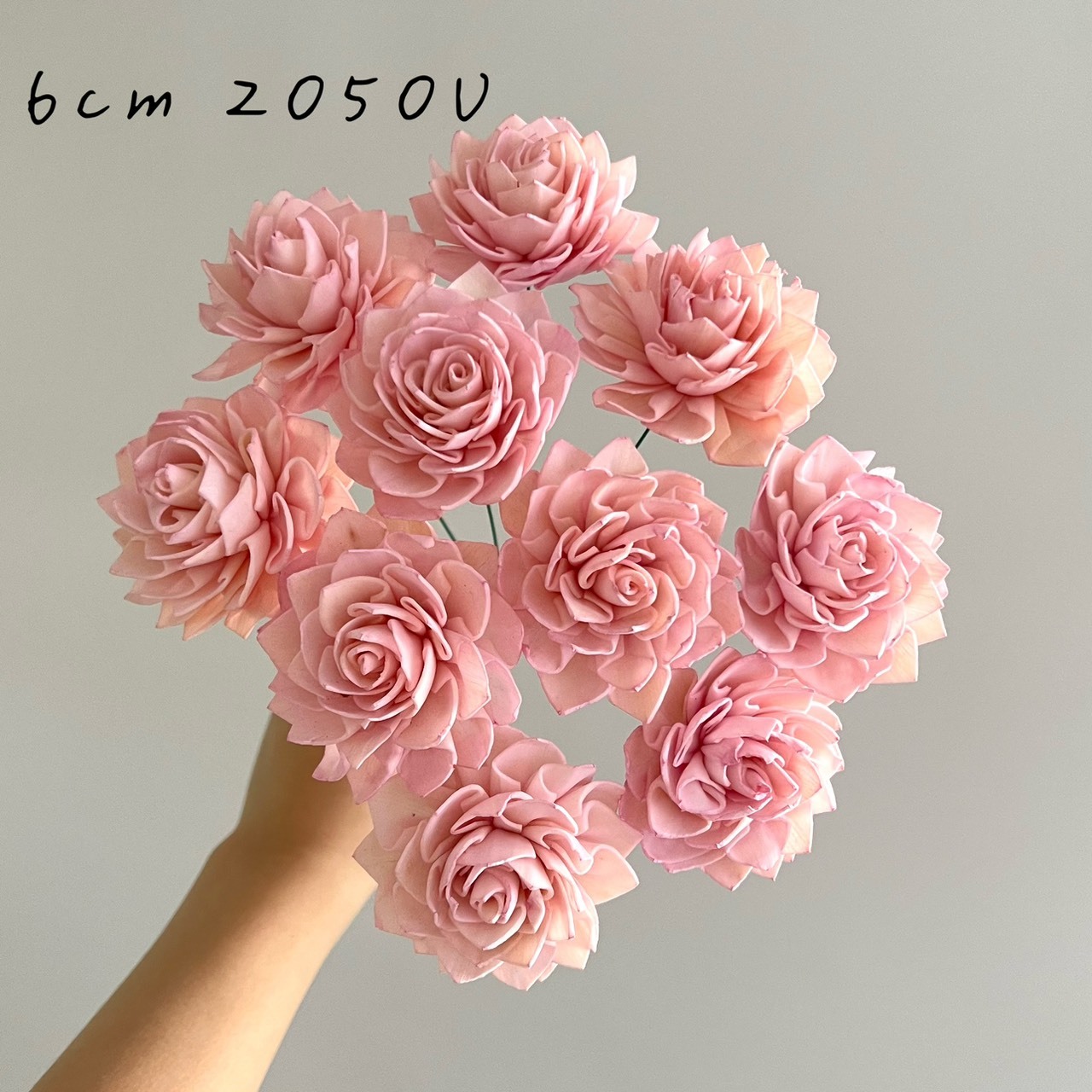 越南索拉花 水染大理花系列 6-7CM