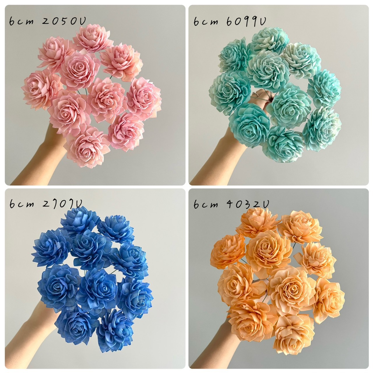 越南索拉花 水染大理花系列 6-7CM