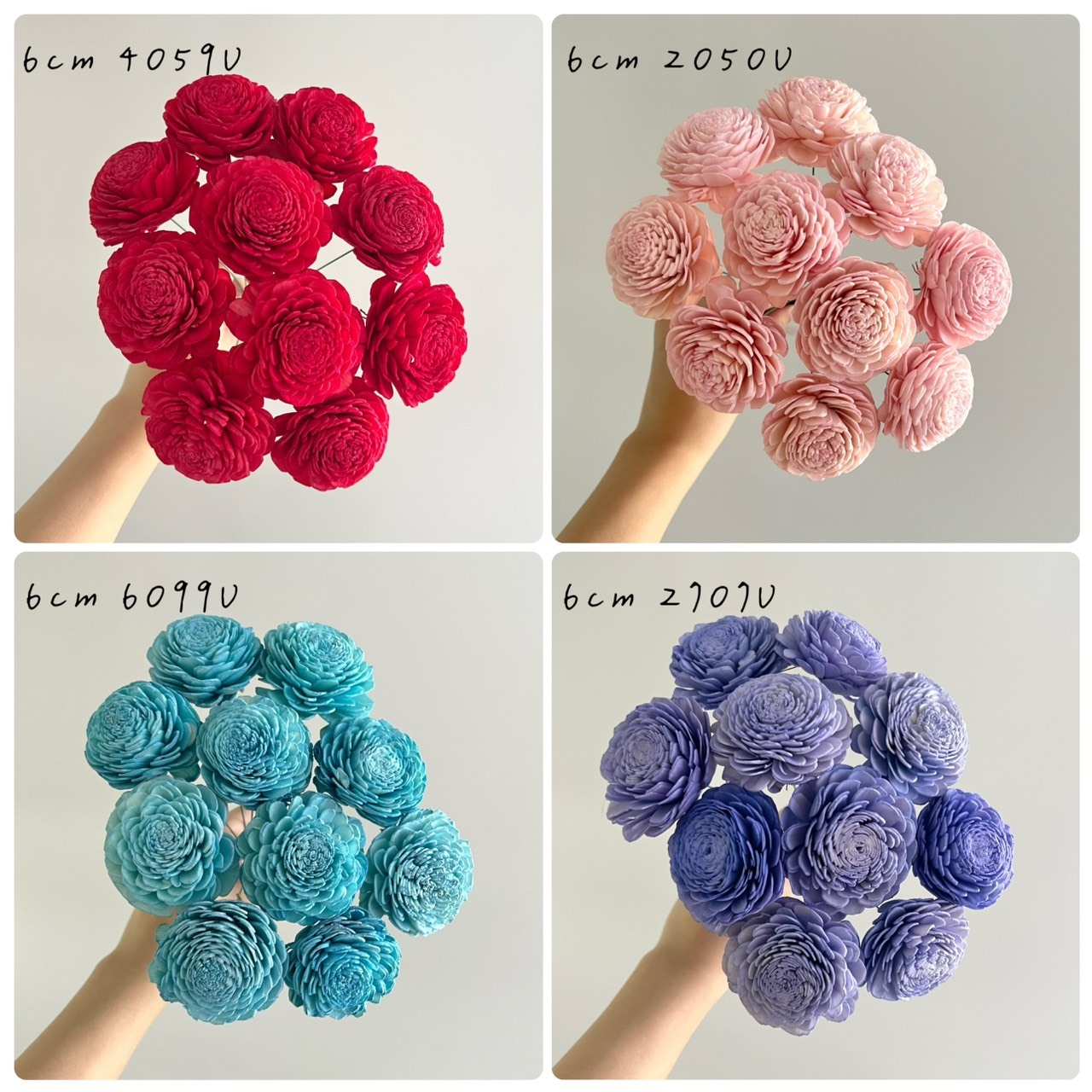 越南索拉花 水染貝力玫瑰系列 5-6CM