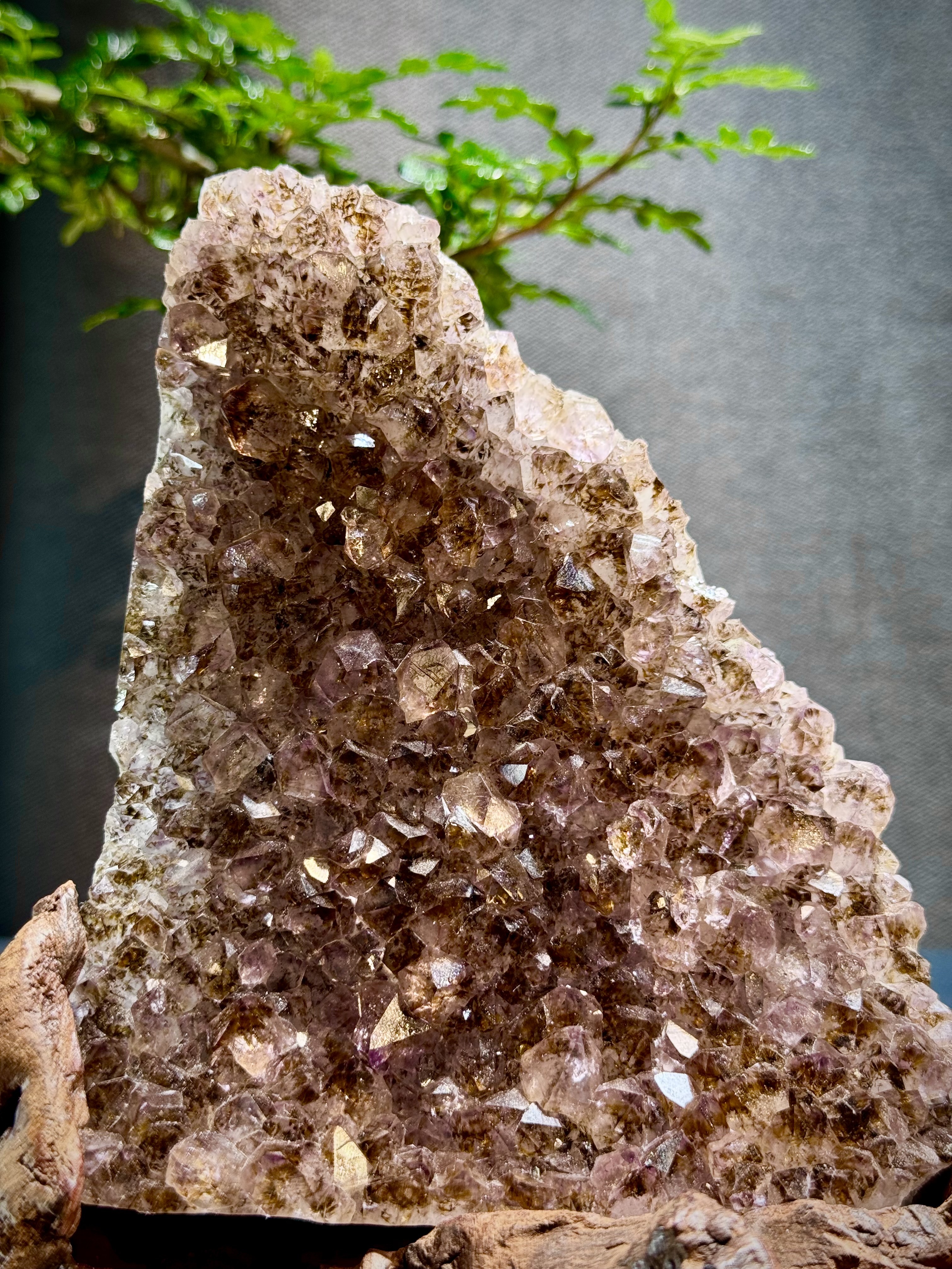 頂級紫鈦水晶簇擺件 5604