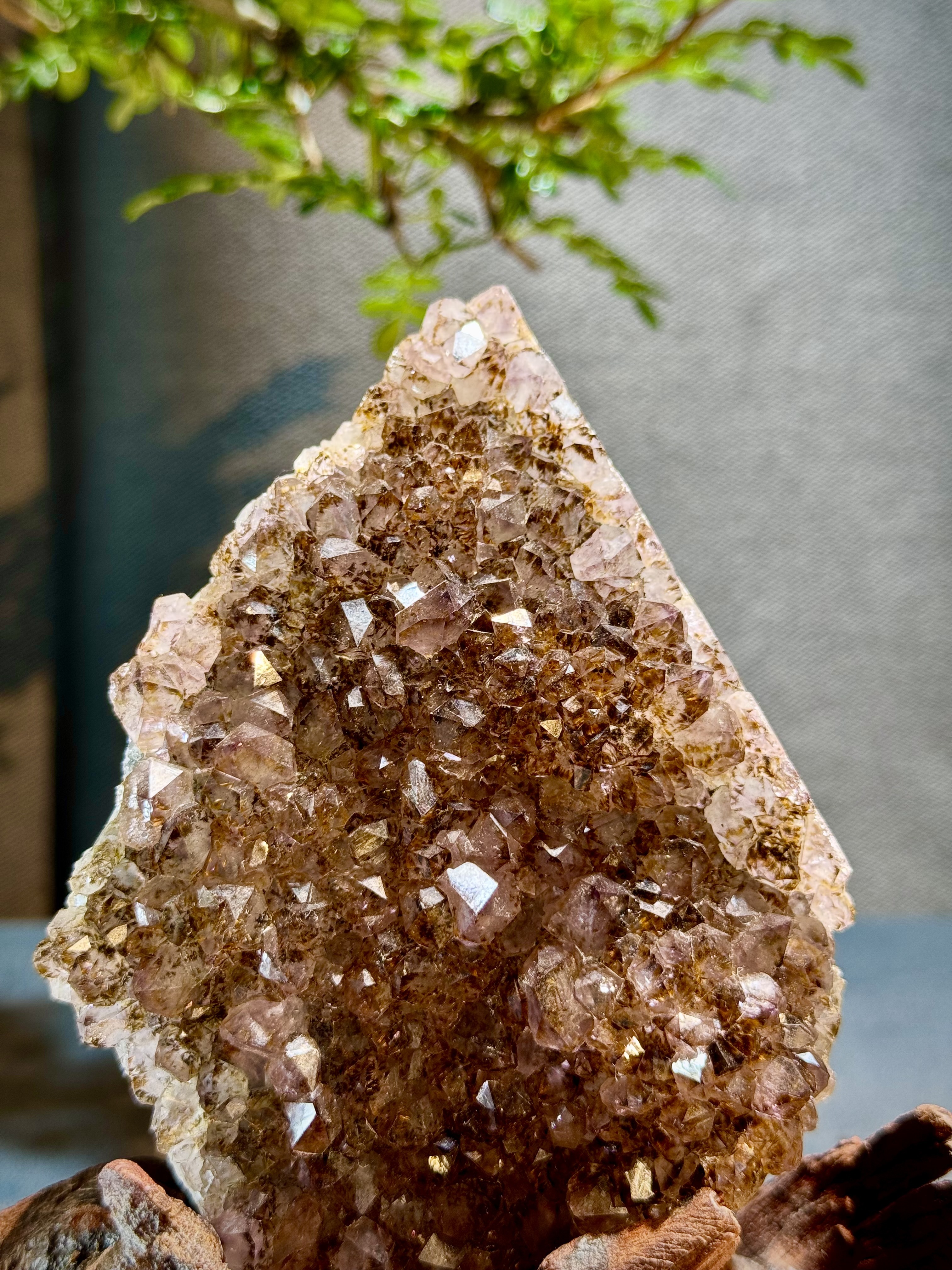 頂級紫鈦水晶簇擺件 5605