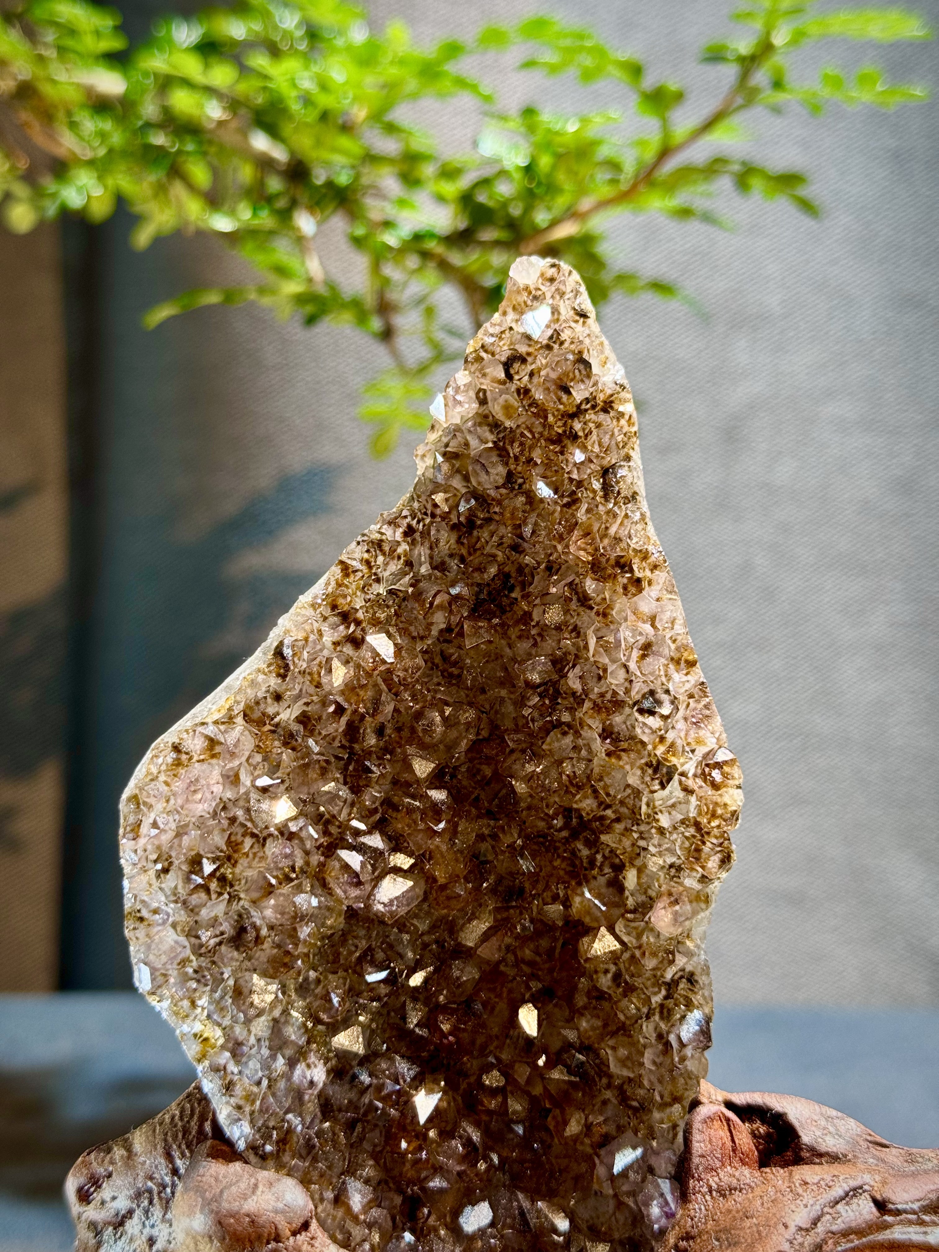 頂級紫鈦水晶簇擺件 5606