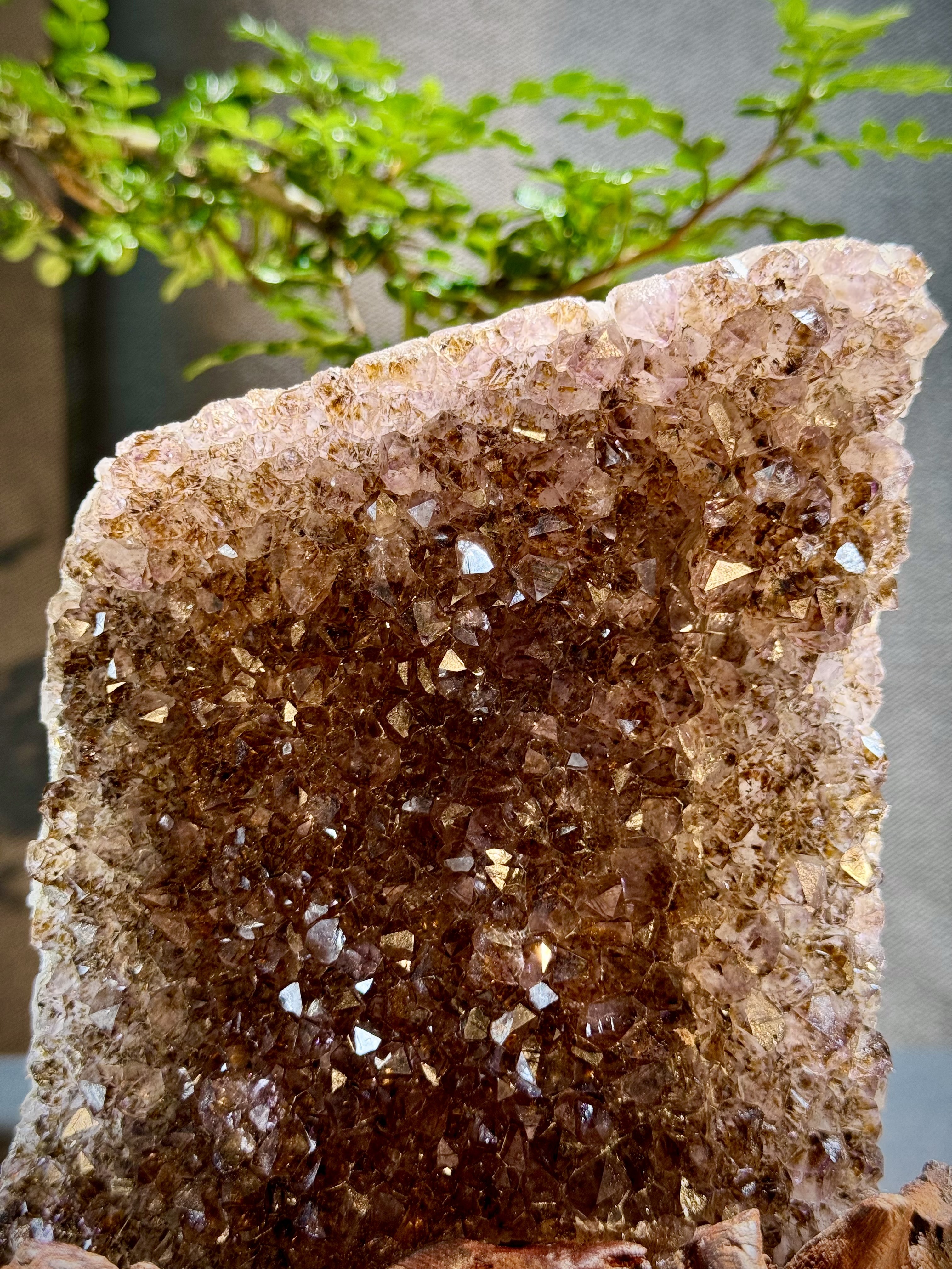 頂級紫鈦水晶簇擺件 5608