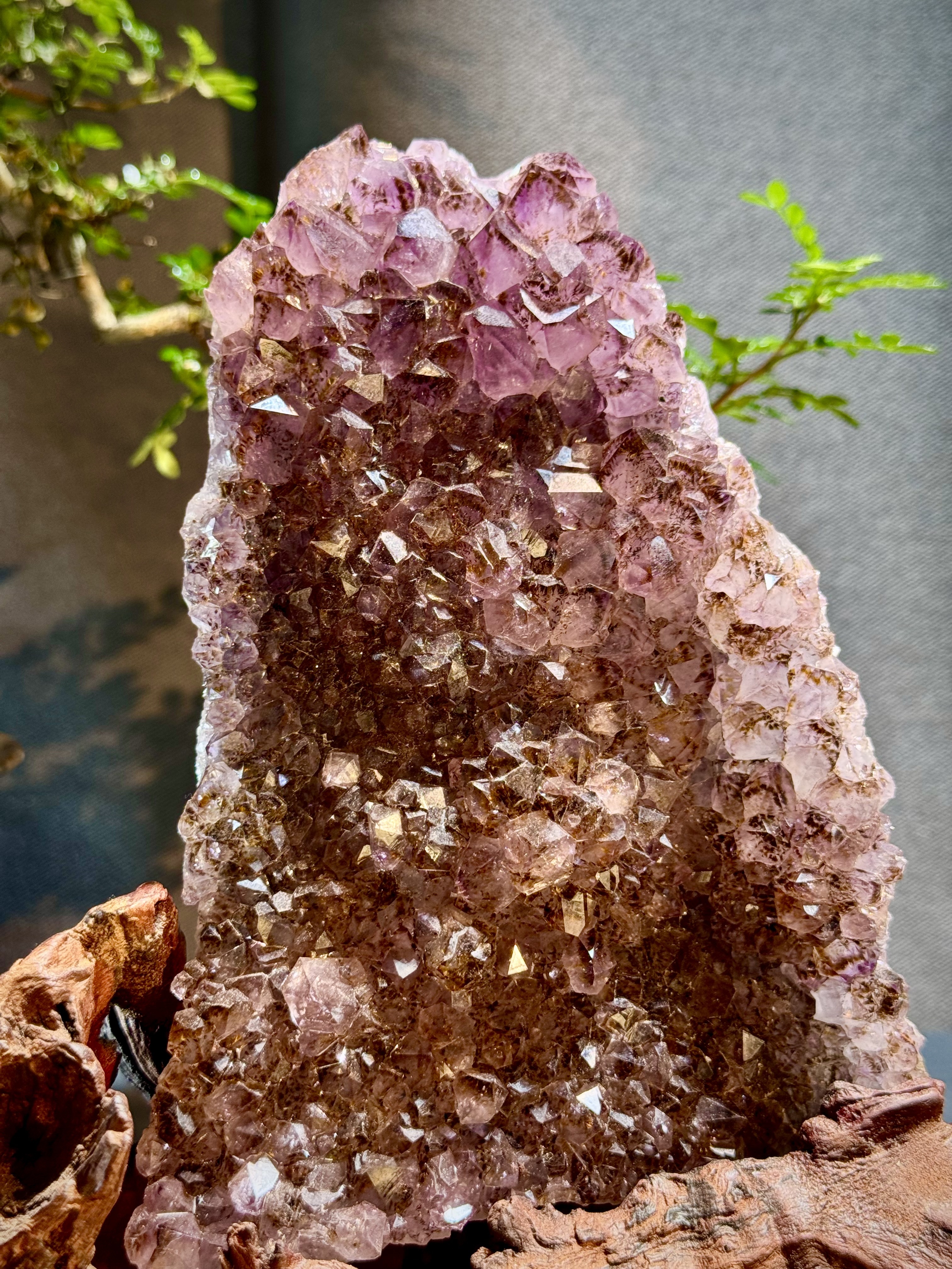 頂級紫鈦水晶簇擺件 5610