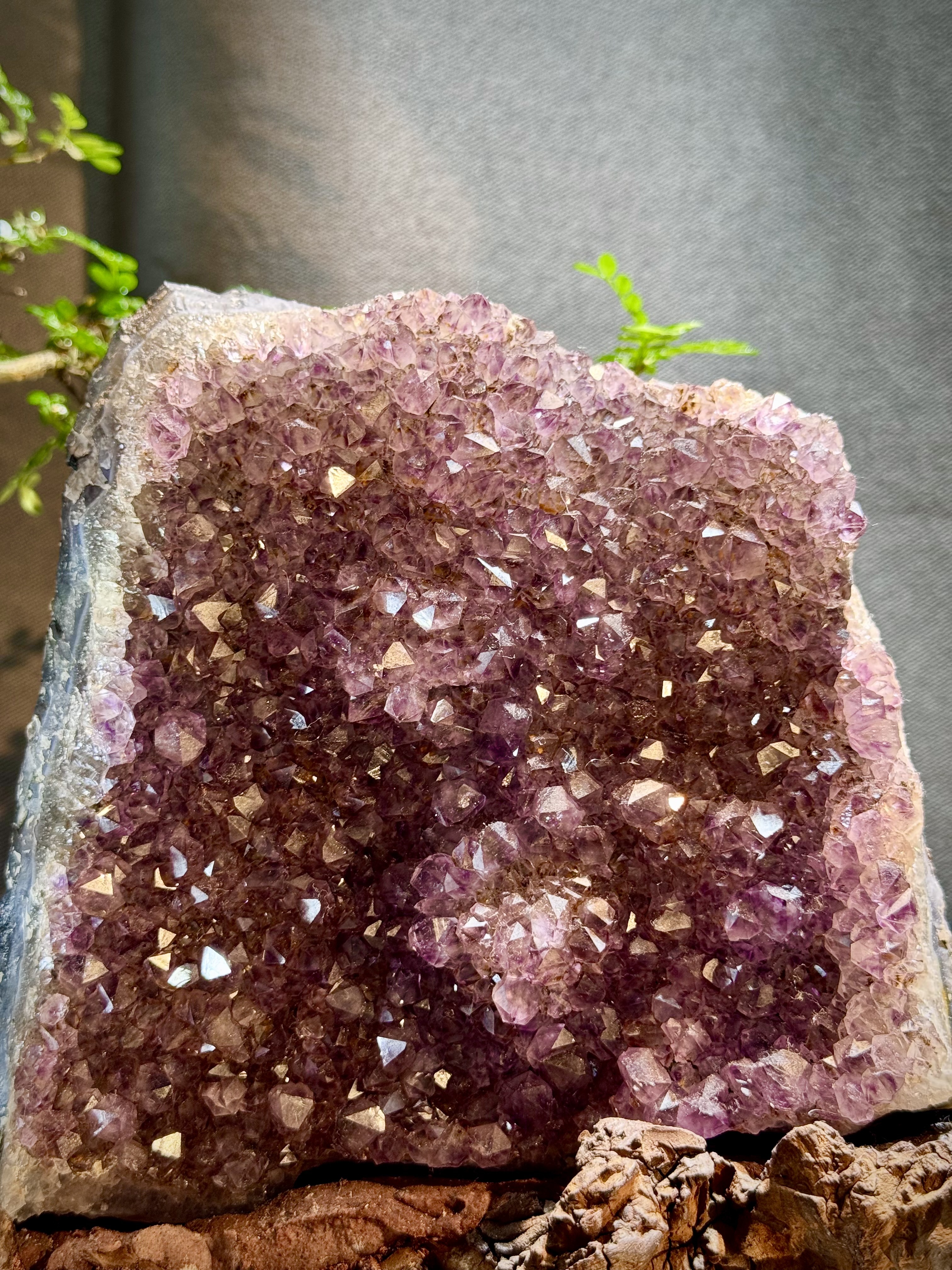 頂級紫鈦水晶簇擺件 5611