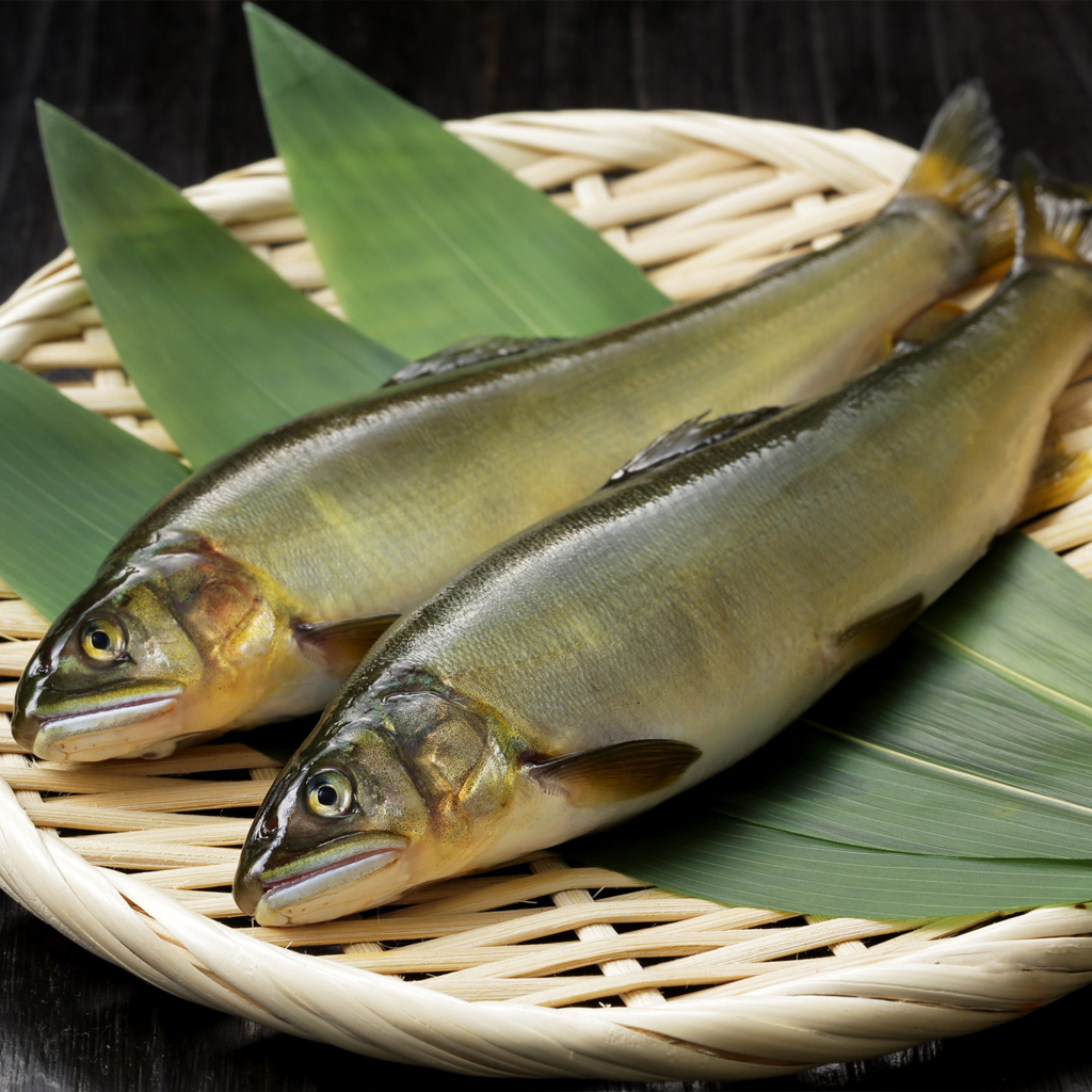 香魚あゆ
