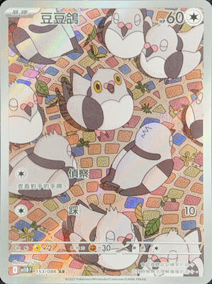 【SV11BF 153/086 AR】豆豆鴿 AR