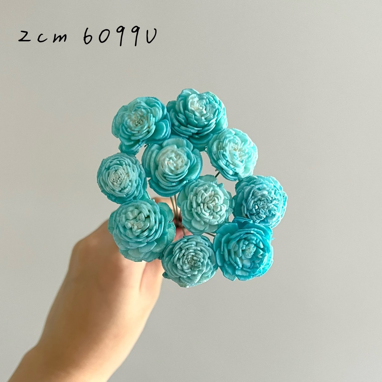 越南索拉花 水染貝力玫瑰系列2-3CM