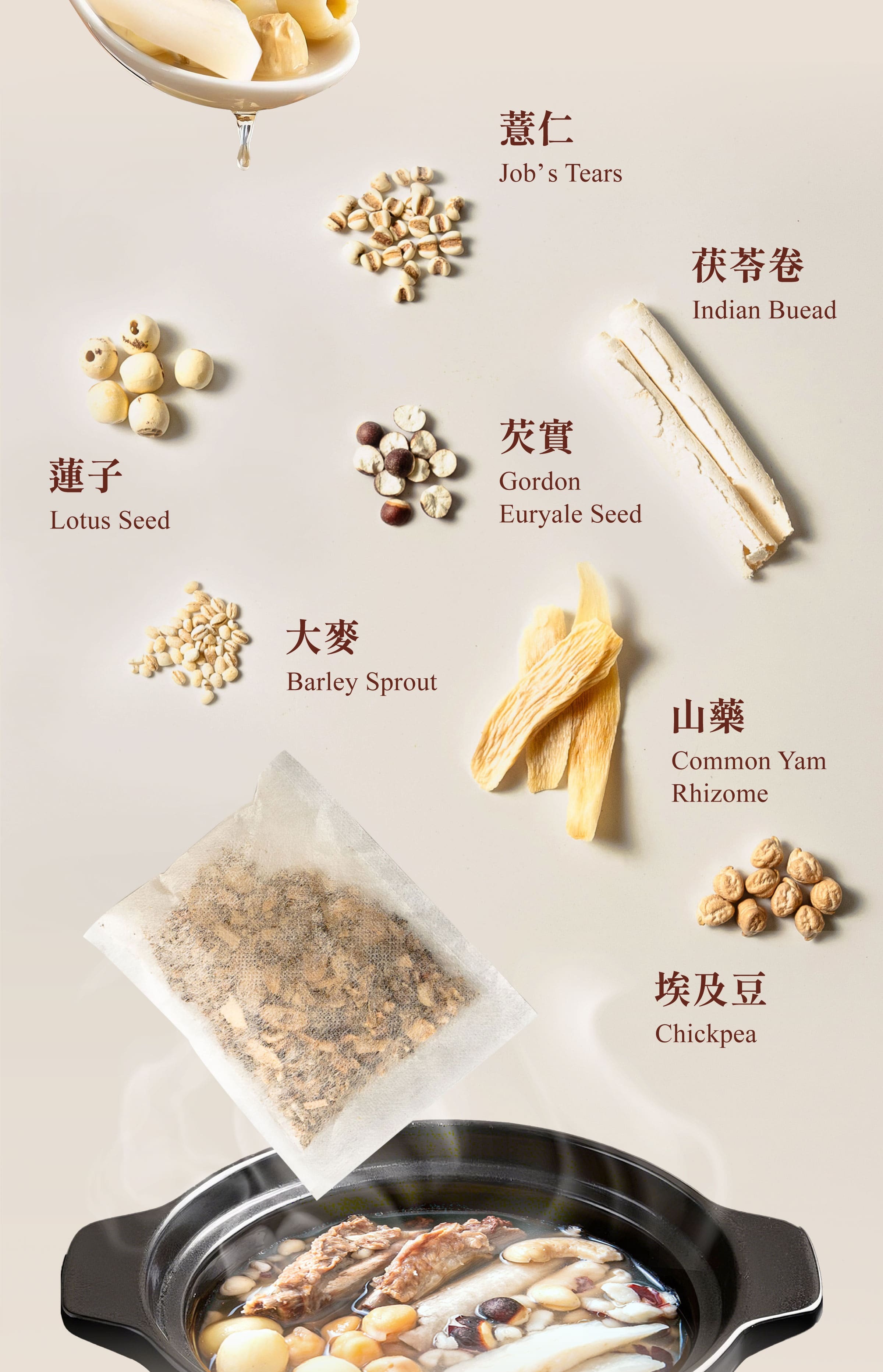 Dengyi Four Spirits Soup Pro Ingredients