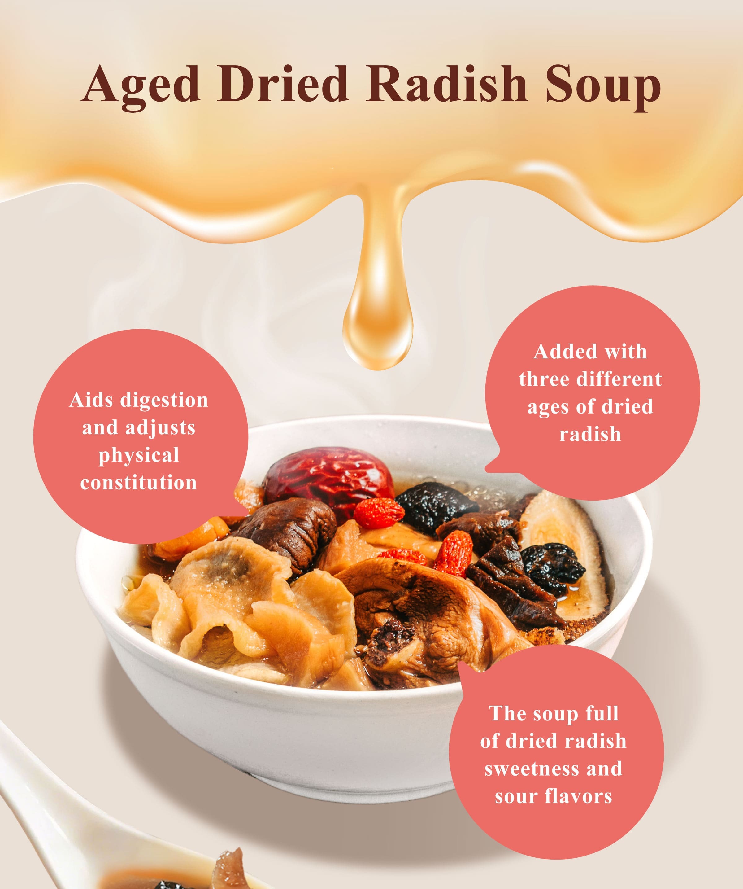 Dengyi Aged Dried Radish Soup Features