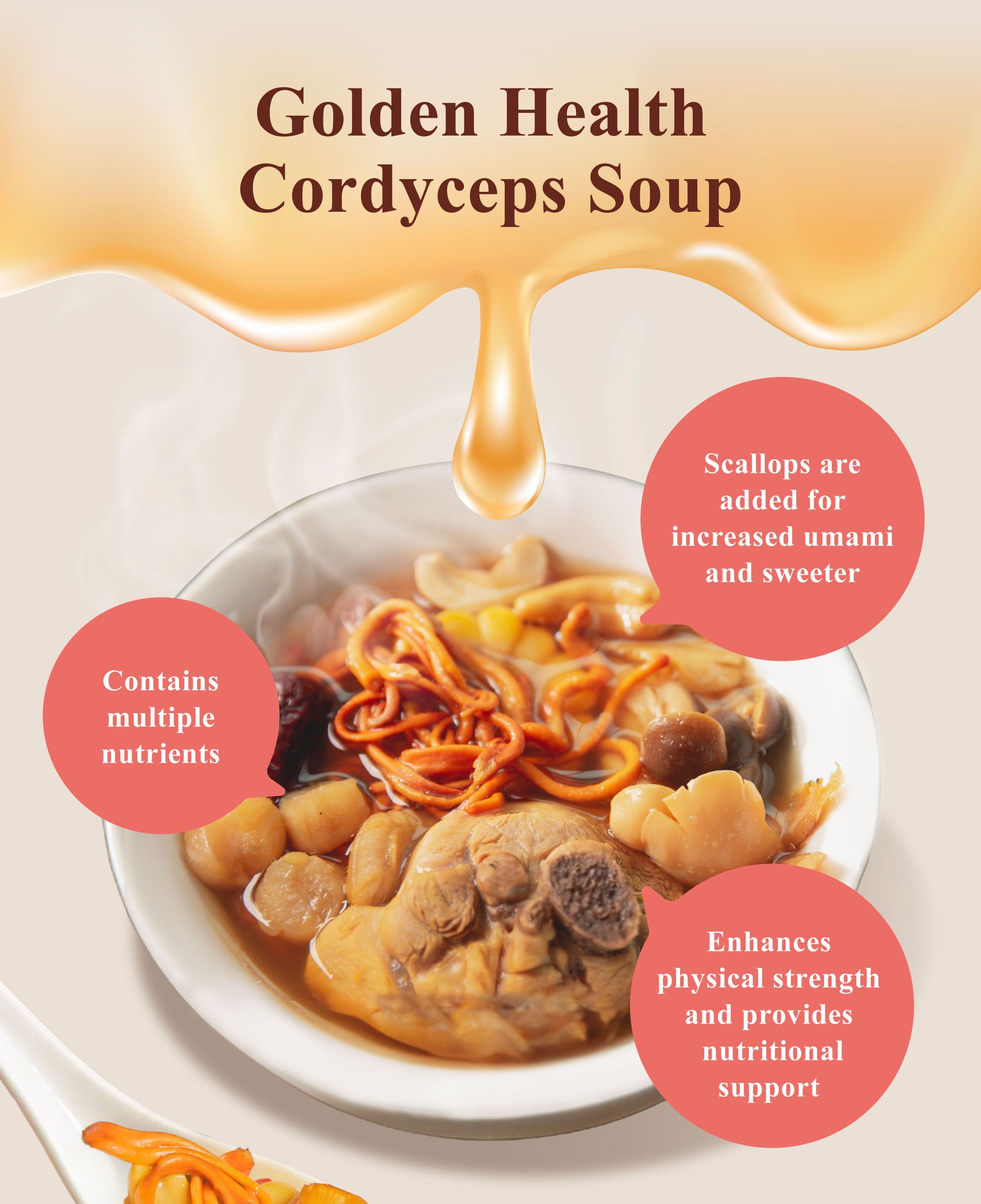 Dengyi Golden Health Cordyceps Soup Features
