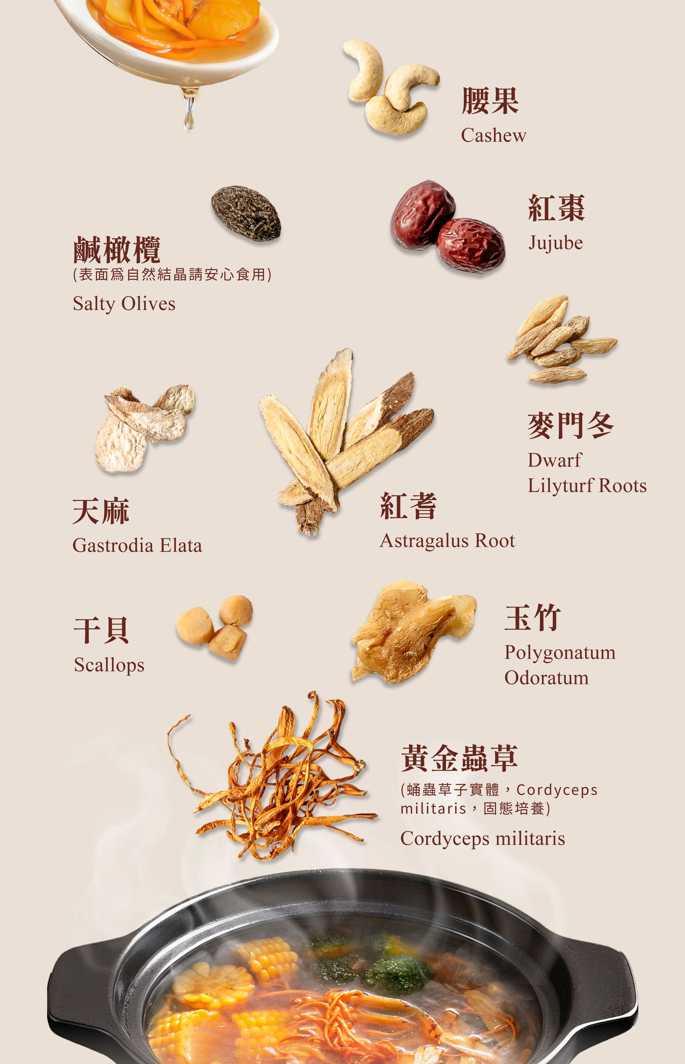Dengyi Golden Health Cordyceps Soup Ingredients