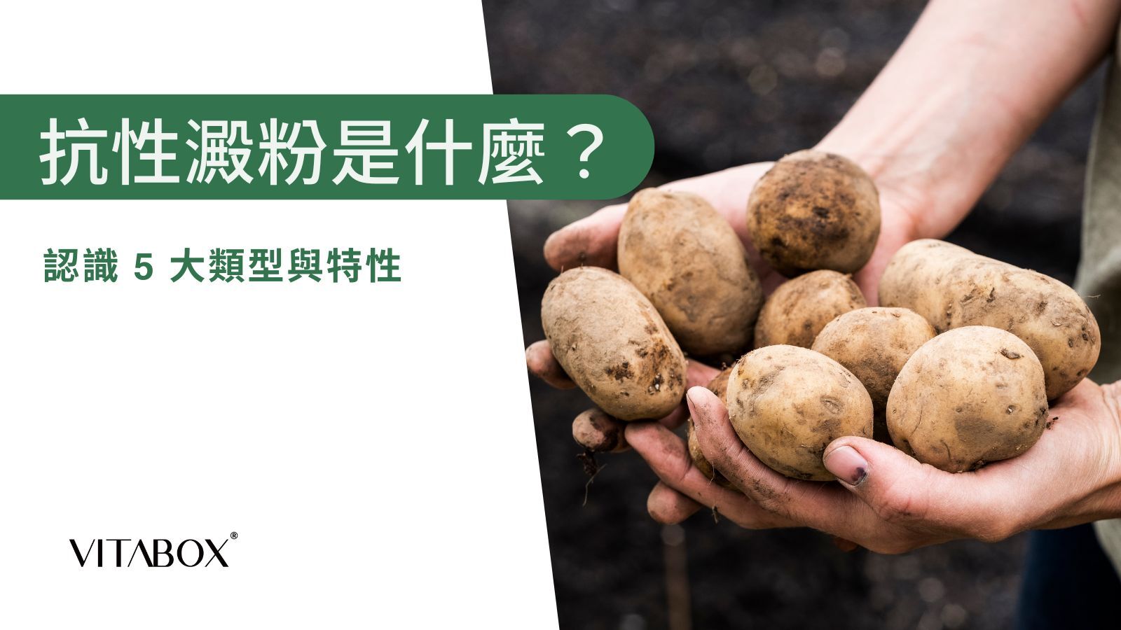 抗性澱粉有哪些？馬鈴薯是很好的抗性澱粉來源