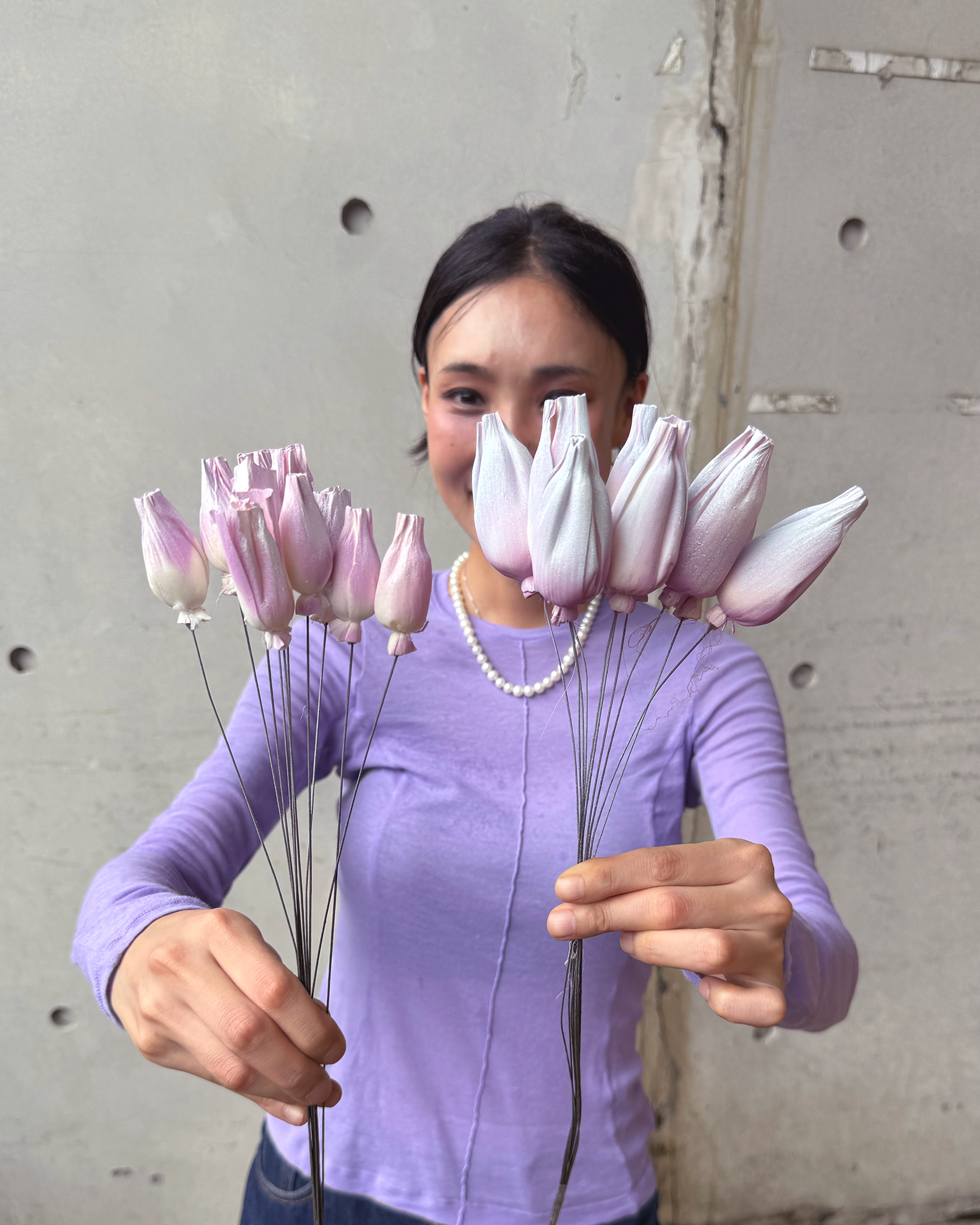 迷你鬱金香索拉