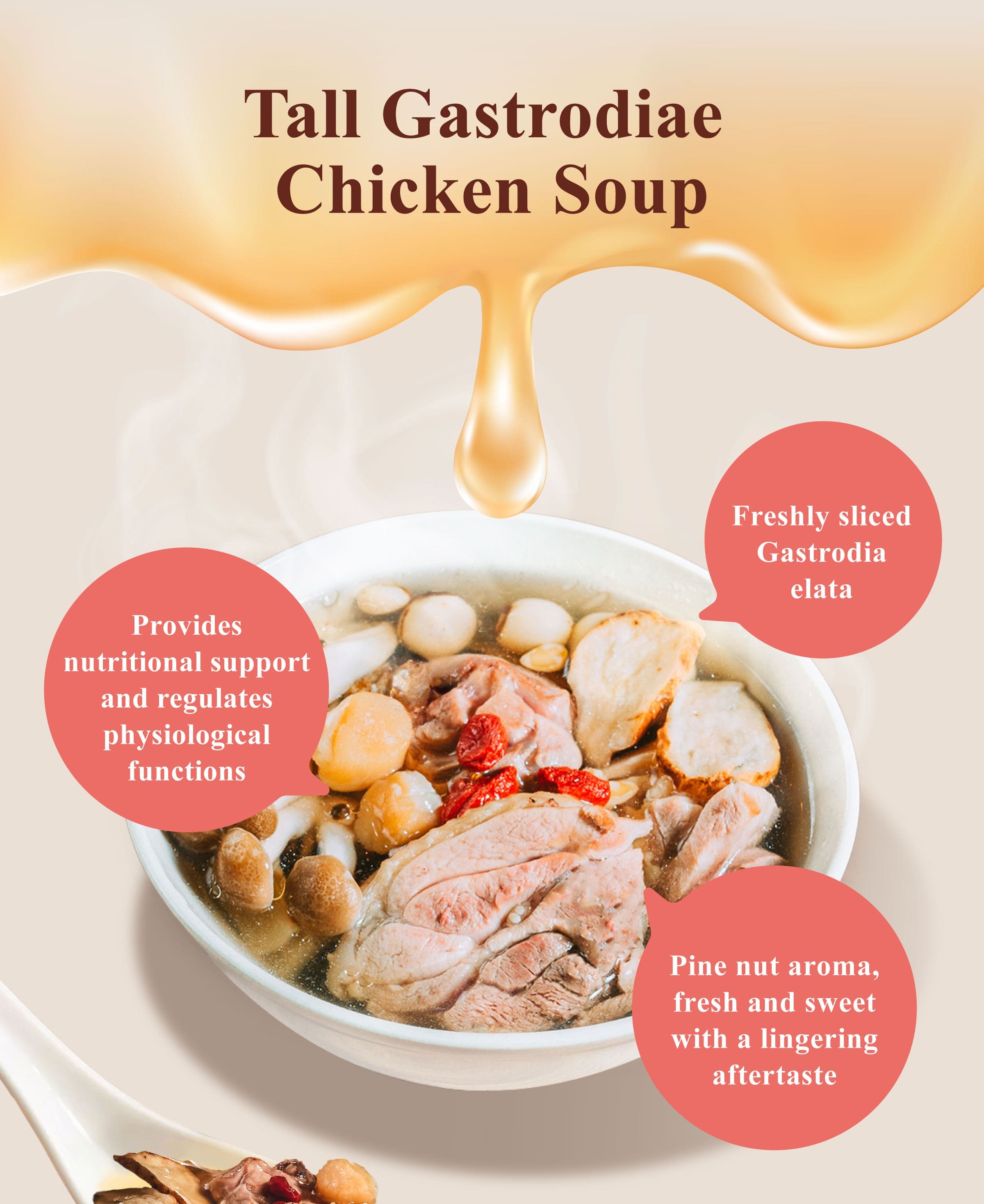 Dengyi Tall Gastrodiae Chicken Soup Features