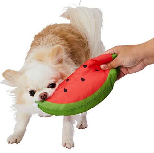 Petio Dog Toy Cool Watermelon