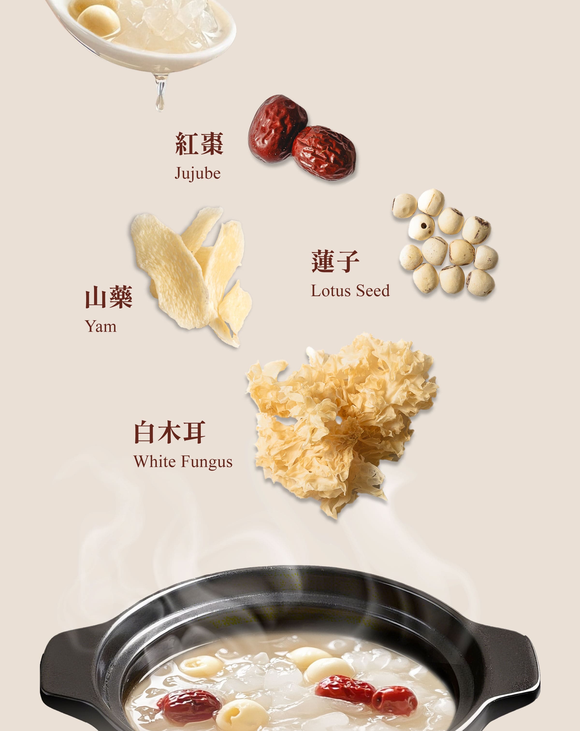 Dengyi Tremella Lotus Seed Soup Ingredients