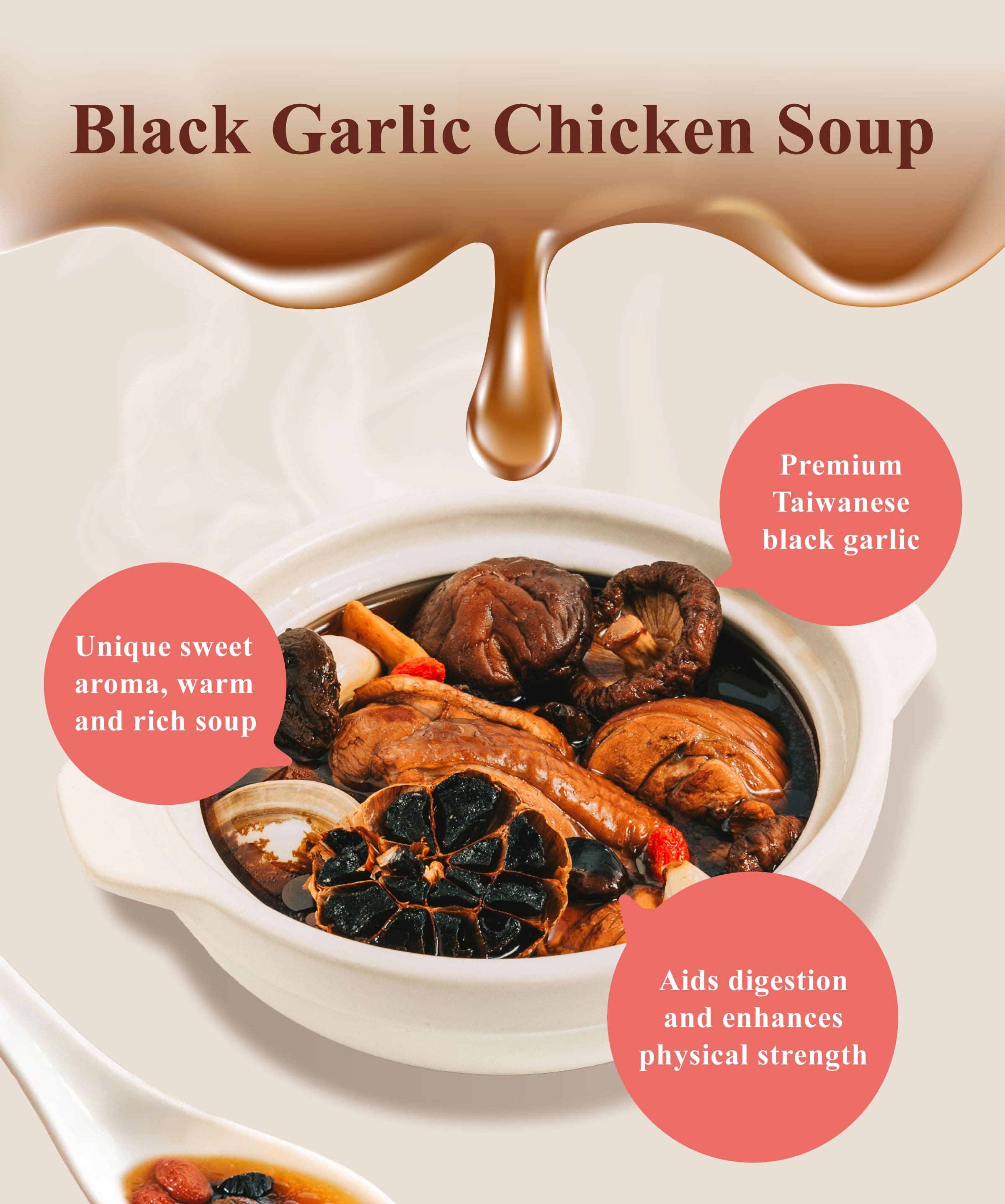 Dengyi Black Garlic Chicken Soup Features