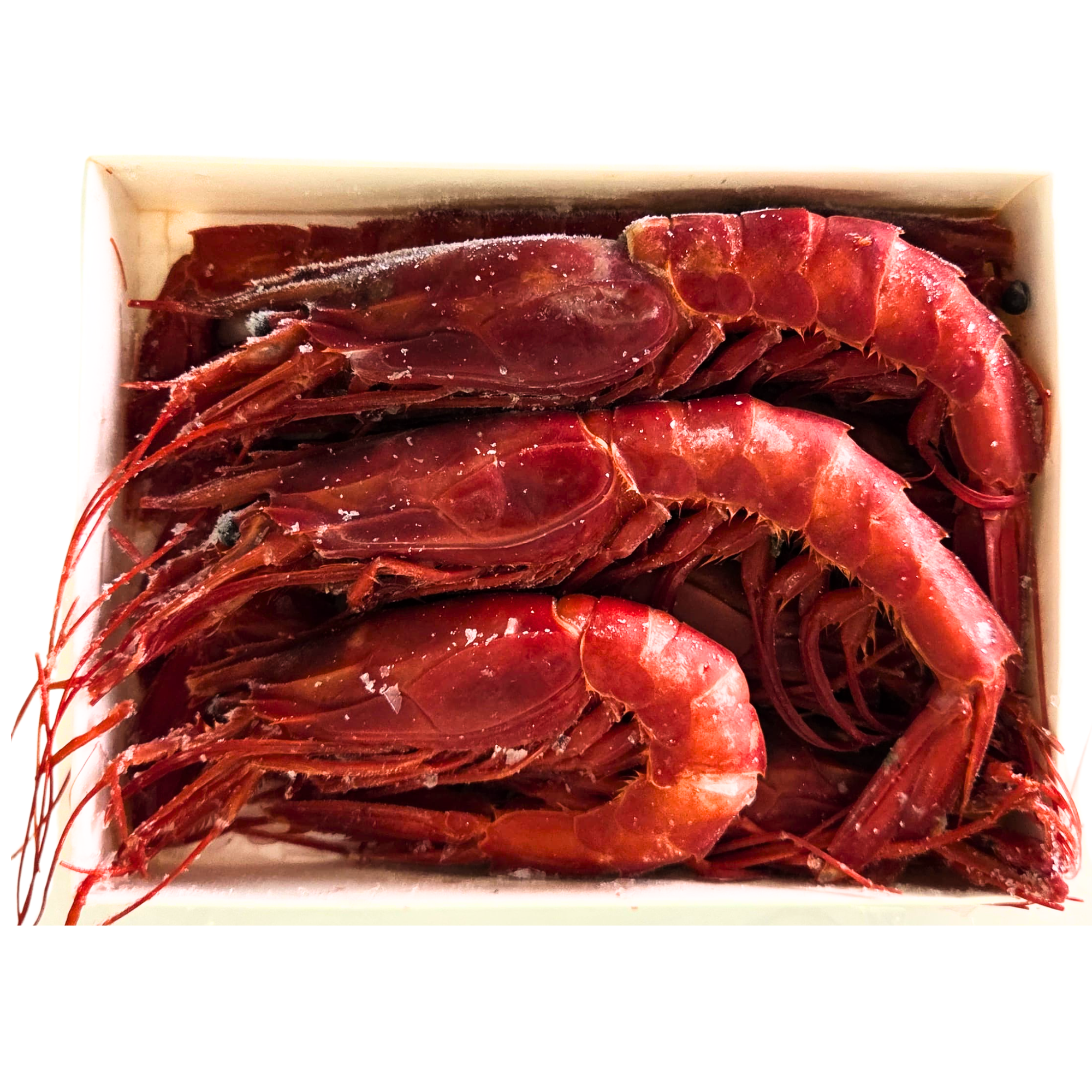 非洲莫桑比克野生巨型西班牙紅蝦 Wild Carabineiro Giant Scarlet Shrimp, 8-9隻 800克/盒 +/-5% (急凍，負18℃)