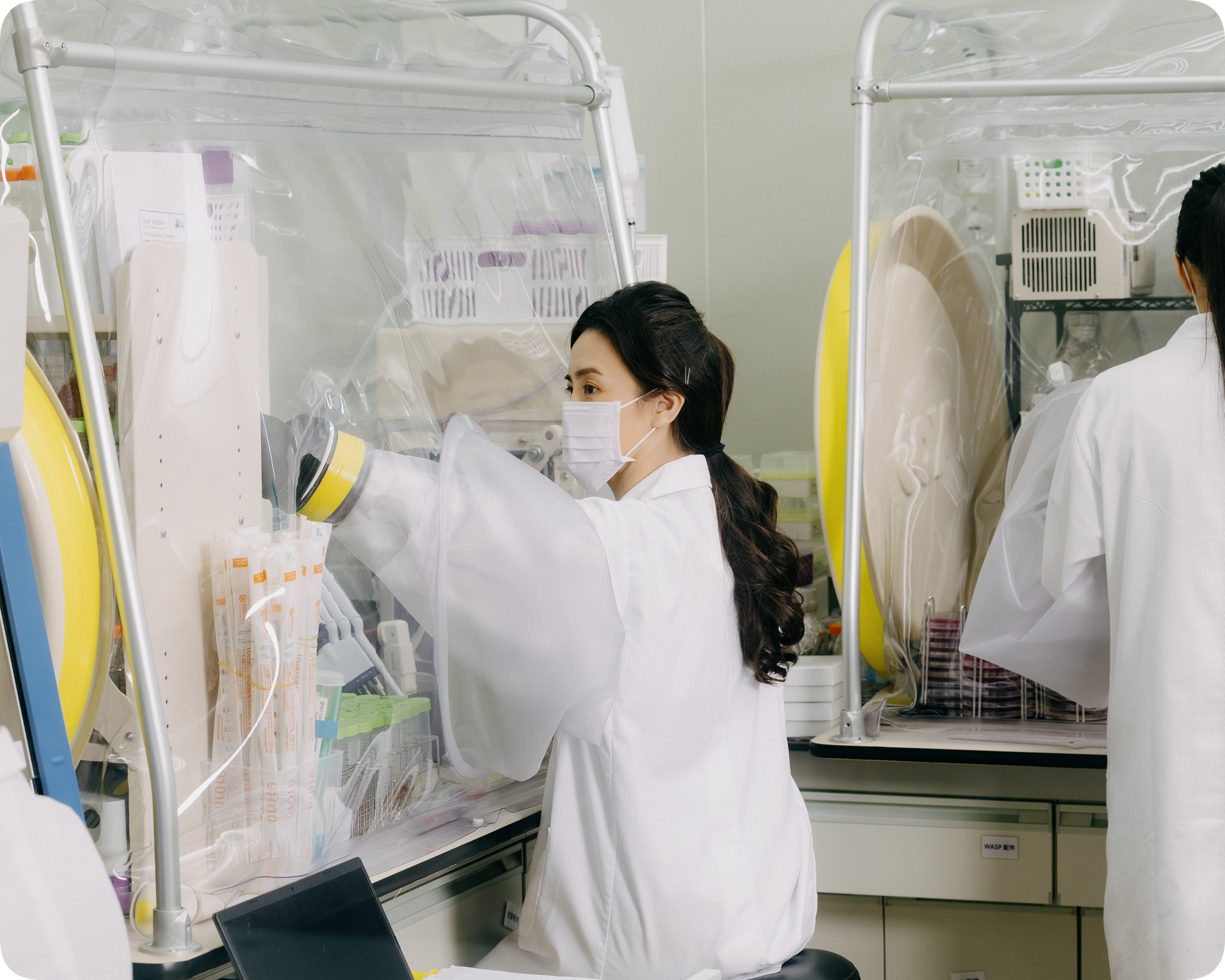 雷文虎克研發能量