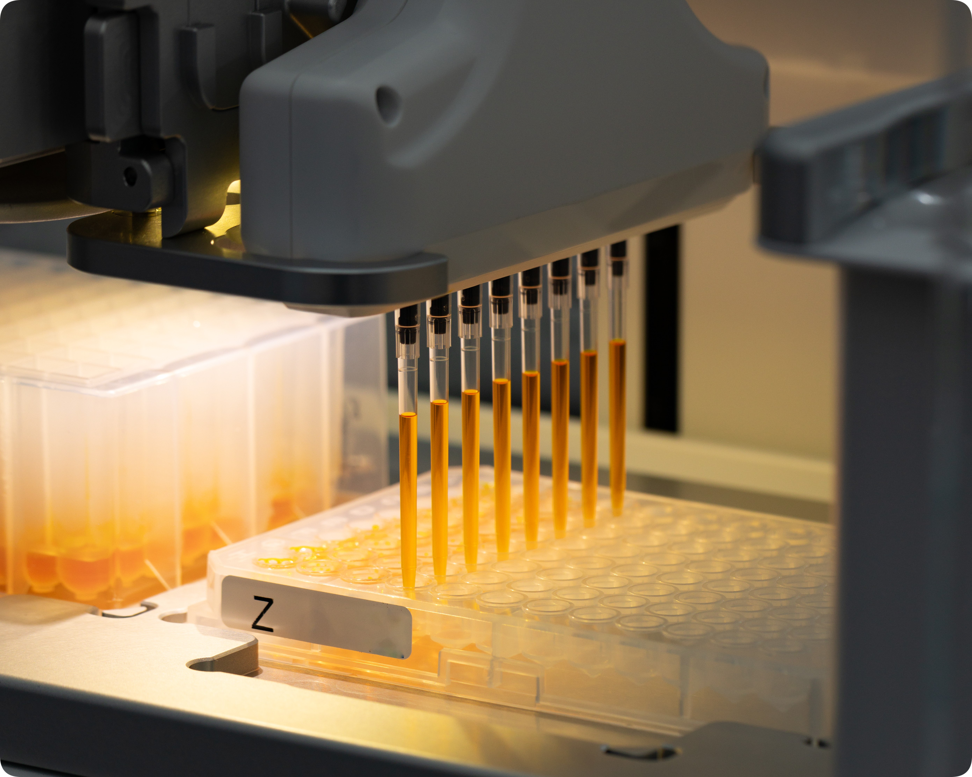 雷文虎克研發能量