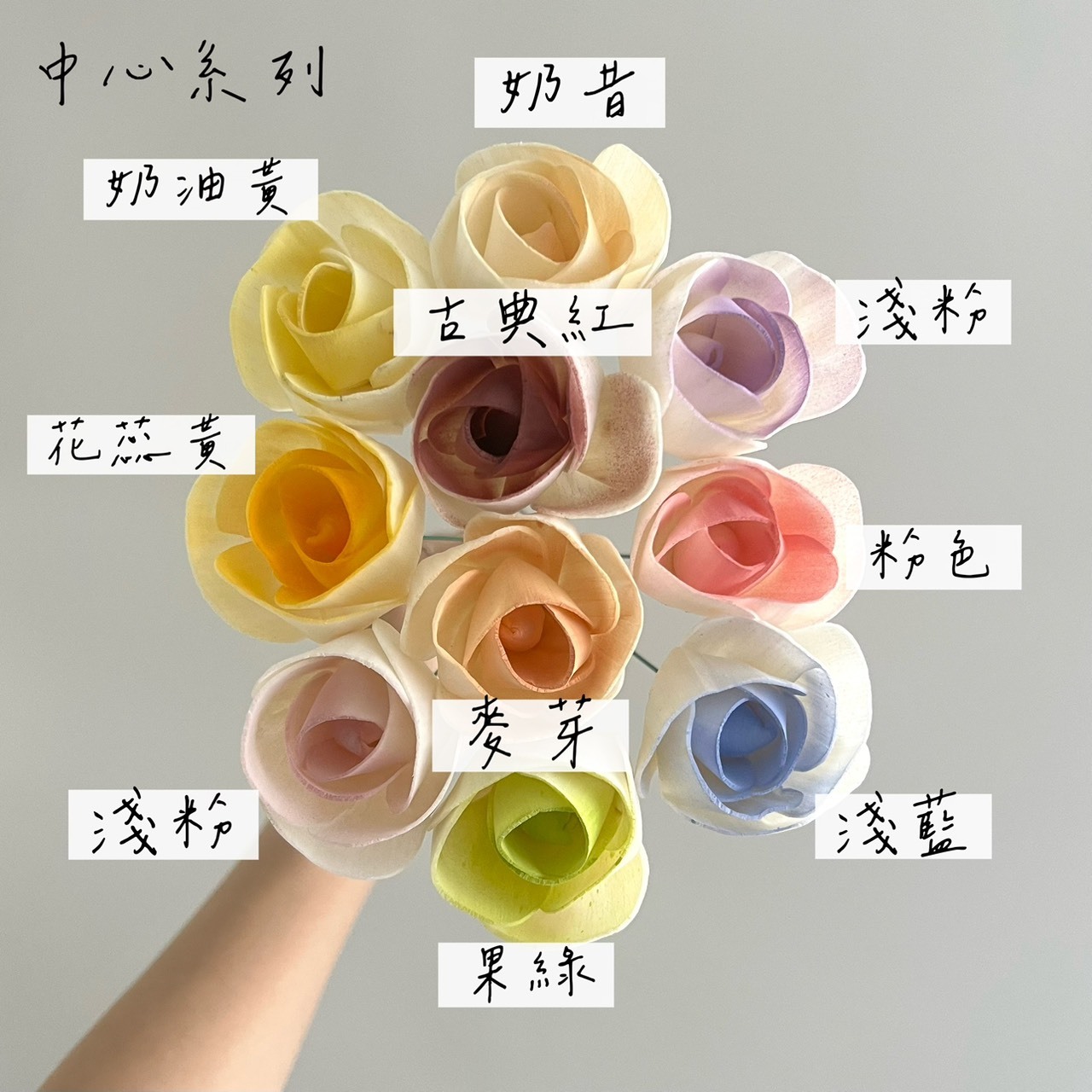 越南索拉花 薄瓣玫瑰 4CM<十支一把>