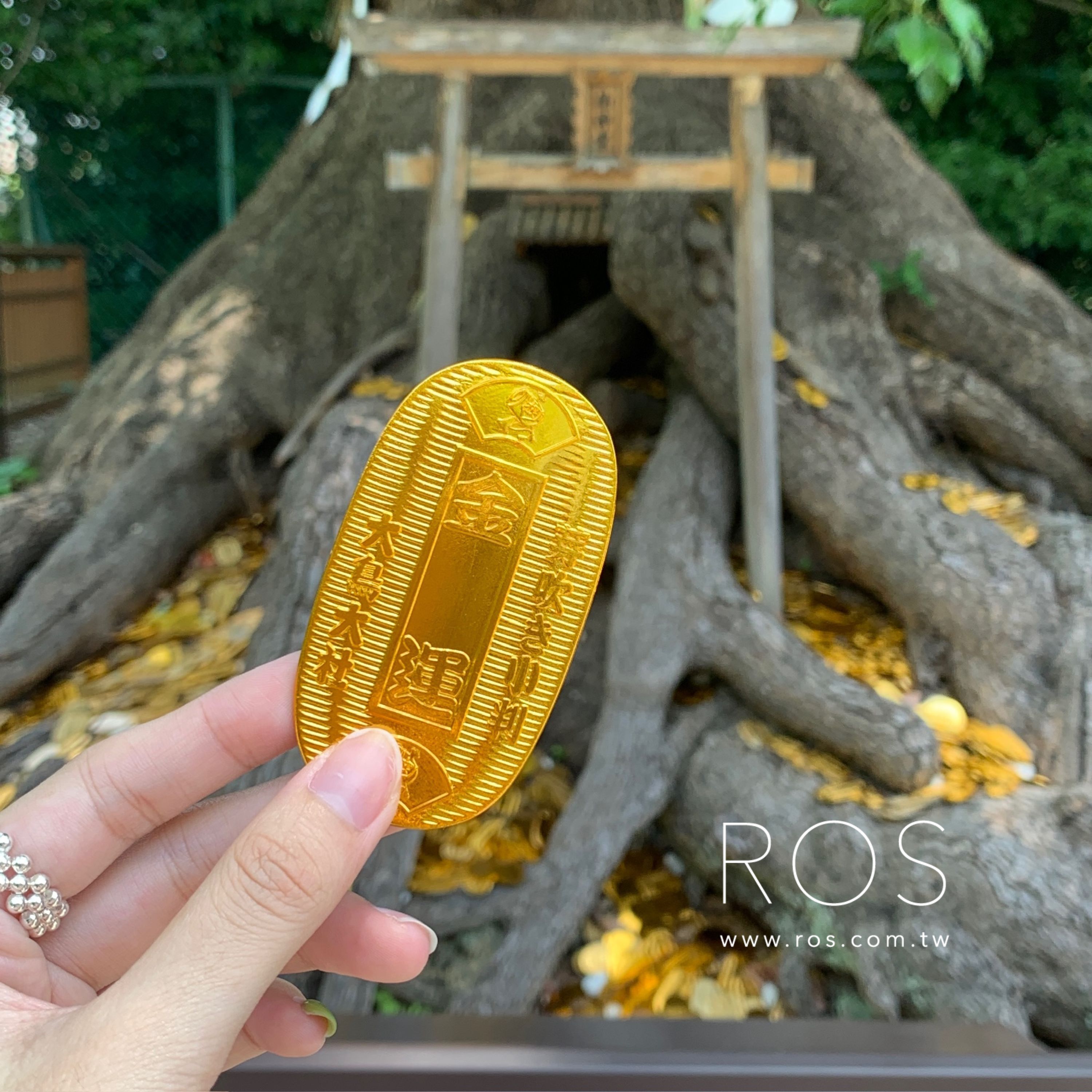 🇯🇵日本連線商品 金運金幣小判