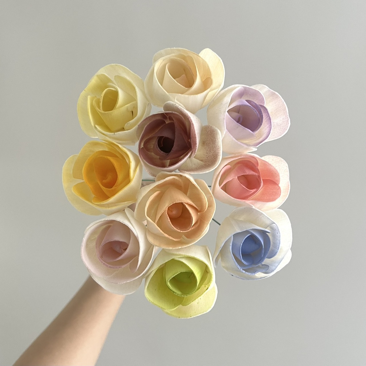 越南索拉花 薄瓣玫瑰 6CM <十支一把>