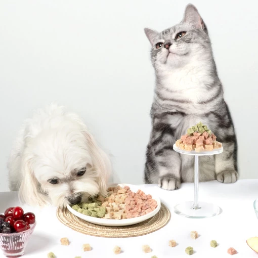 汪喵星球｜泌尿保健丁凍乾零食20g