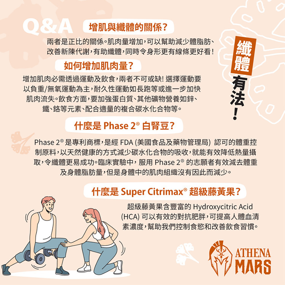 戰神MARS 多效蛋白飲 焰脂烏龍奶